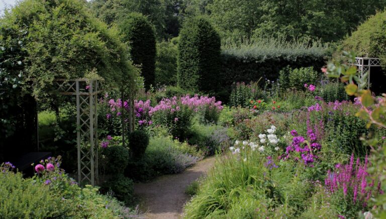 jardin fleuri avex de shaies et des fleurs roses