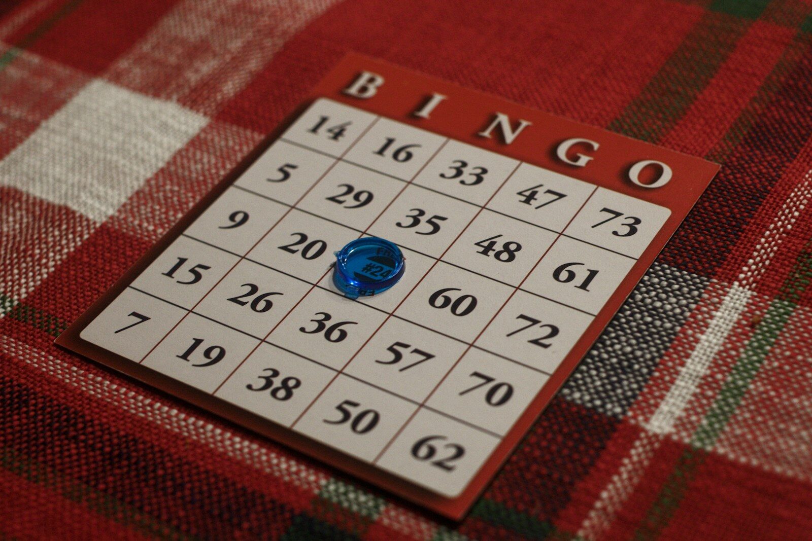 loto-bingo